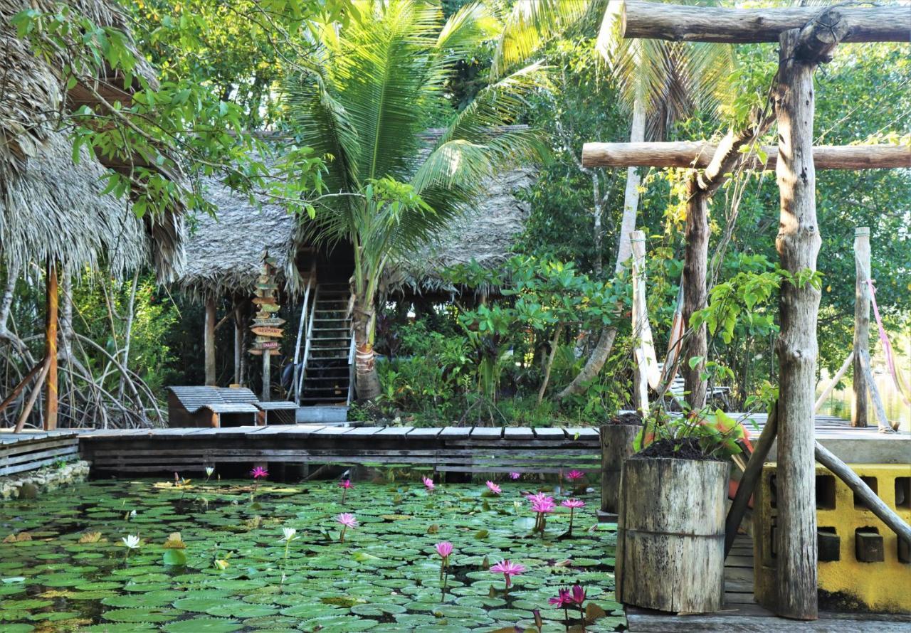 El Hotelito Perdido Izabal Luaran gambar