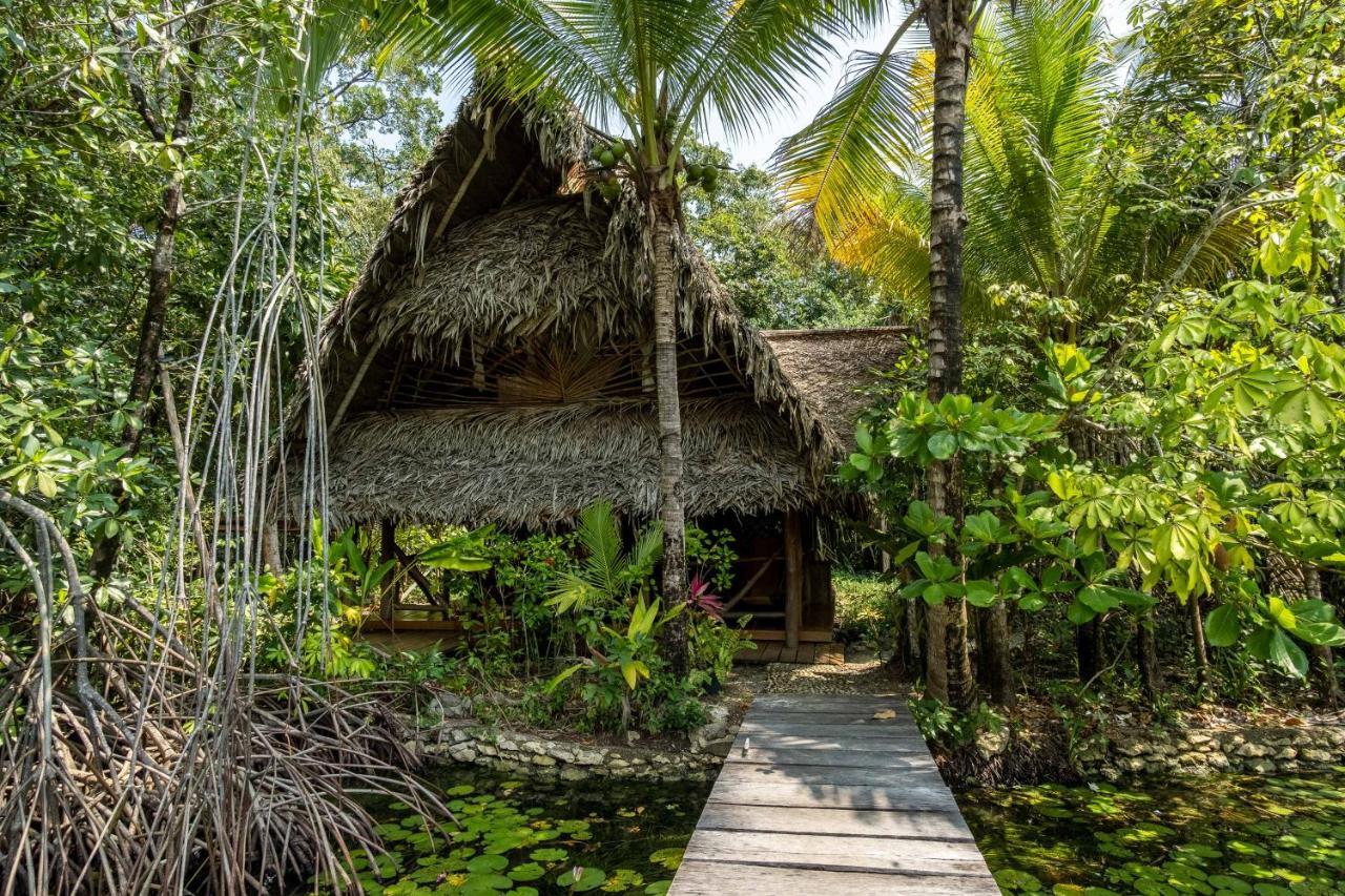 El Hotelito Perdido Izabal Luaran gambar