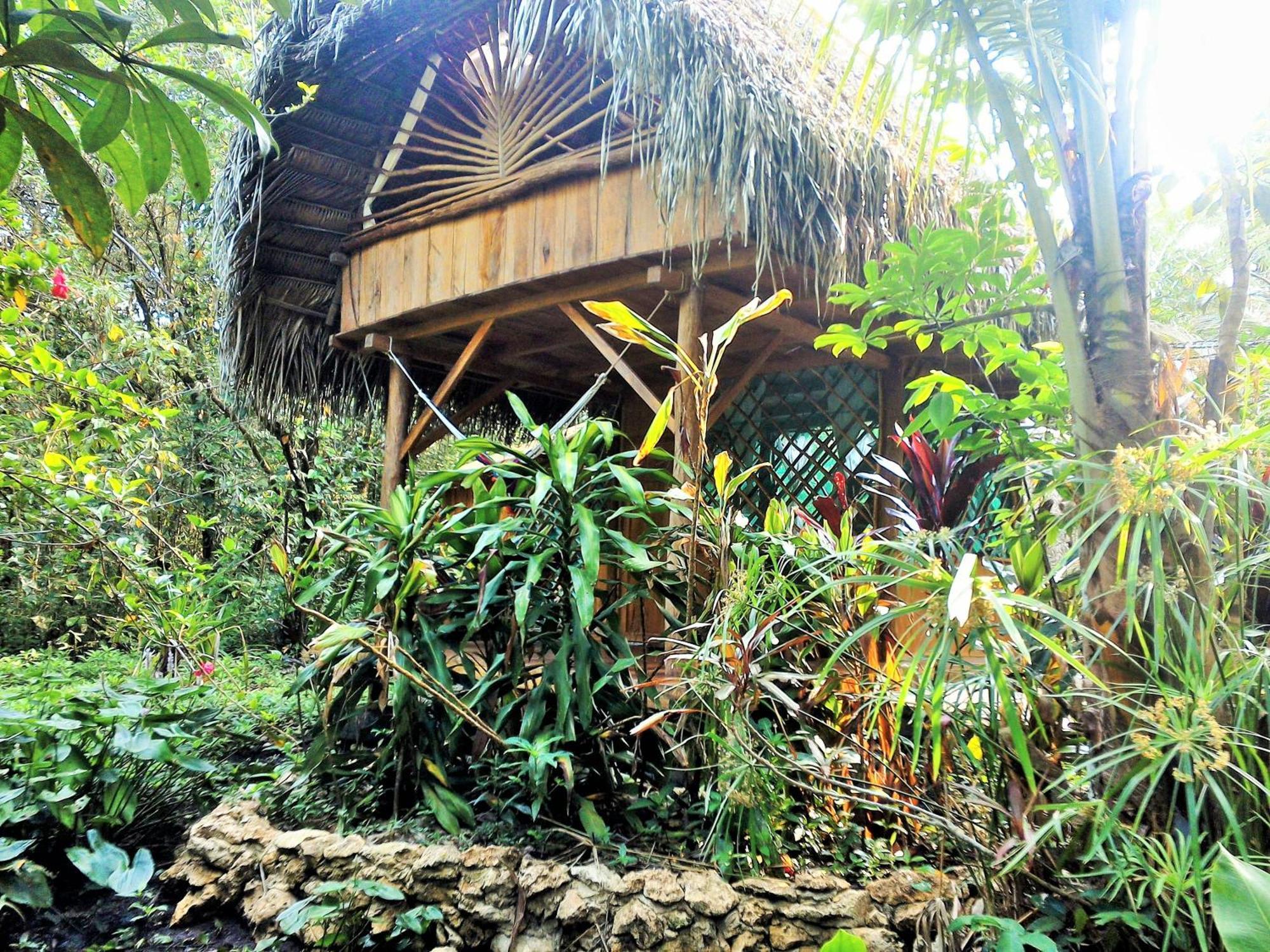 El Hotelito Perdido Izabal Luaran gambar