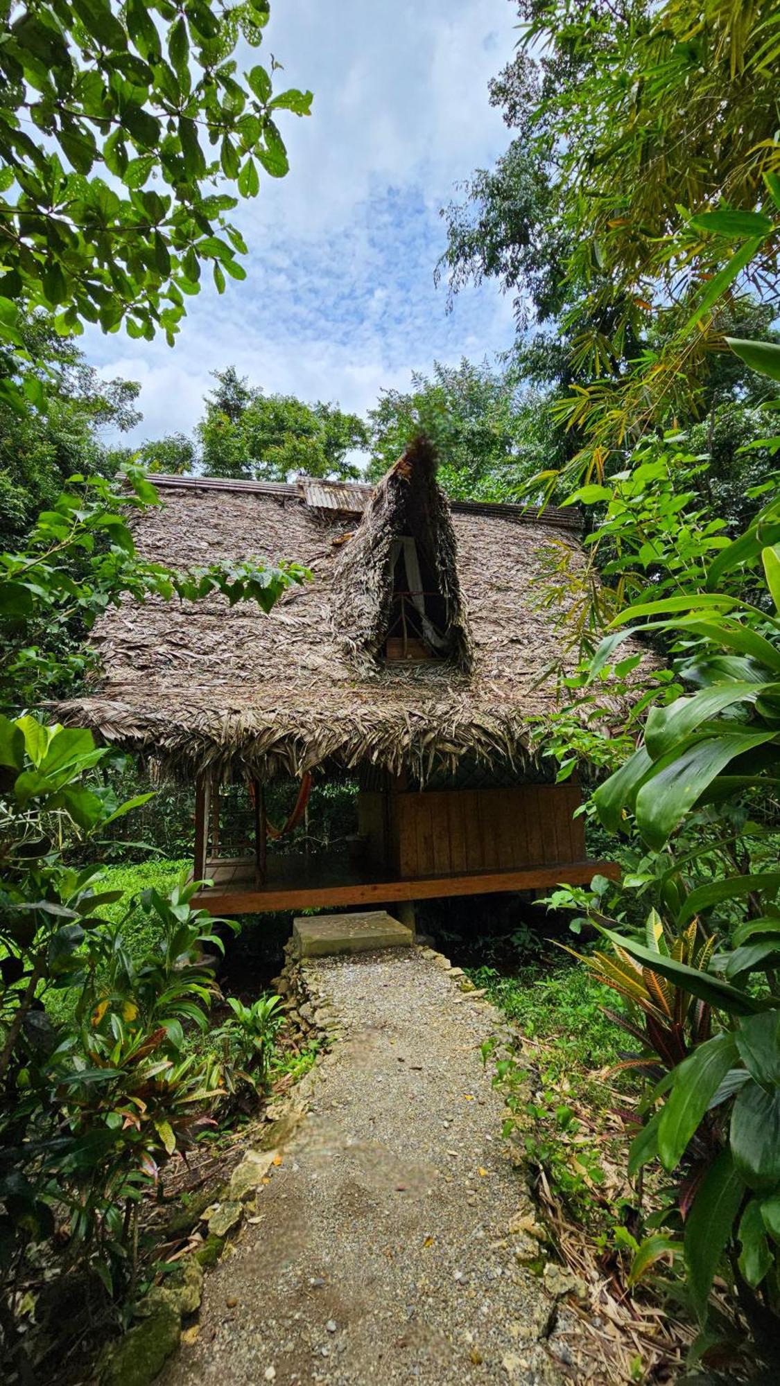 El Hotelito Perdido Izabal Luaran gambar